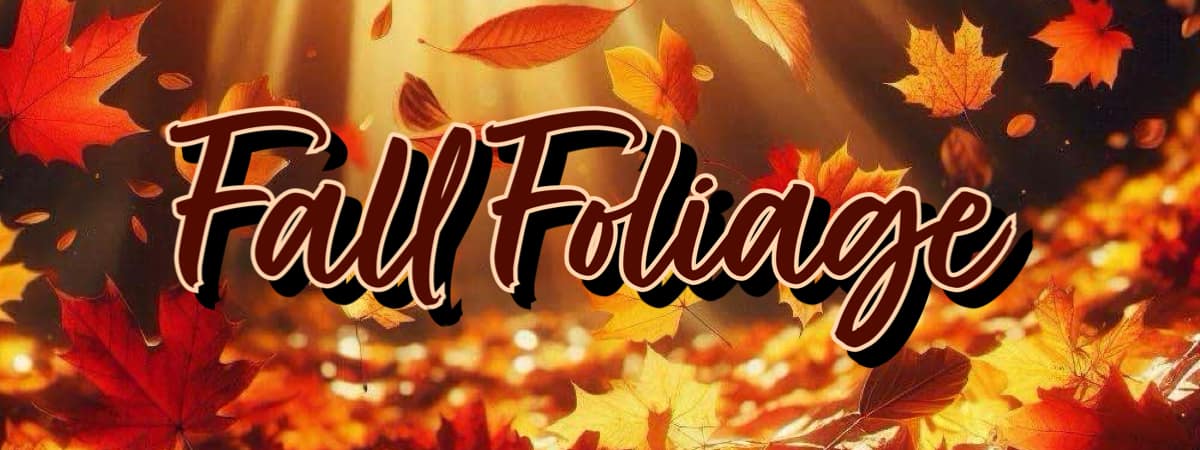 FALL BUNDLE